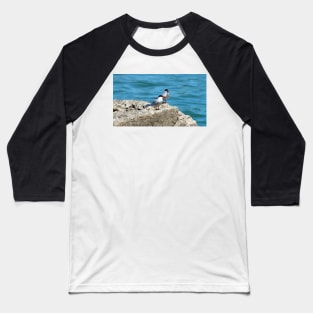 Two Caspian Terns Standing On A Rock Baseball T-Shirt